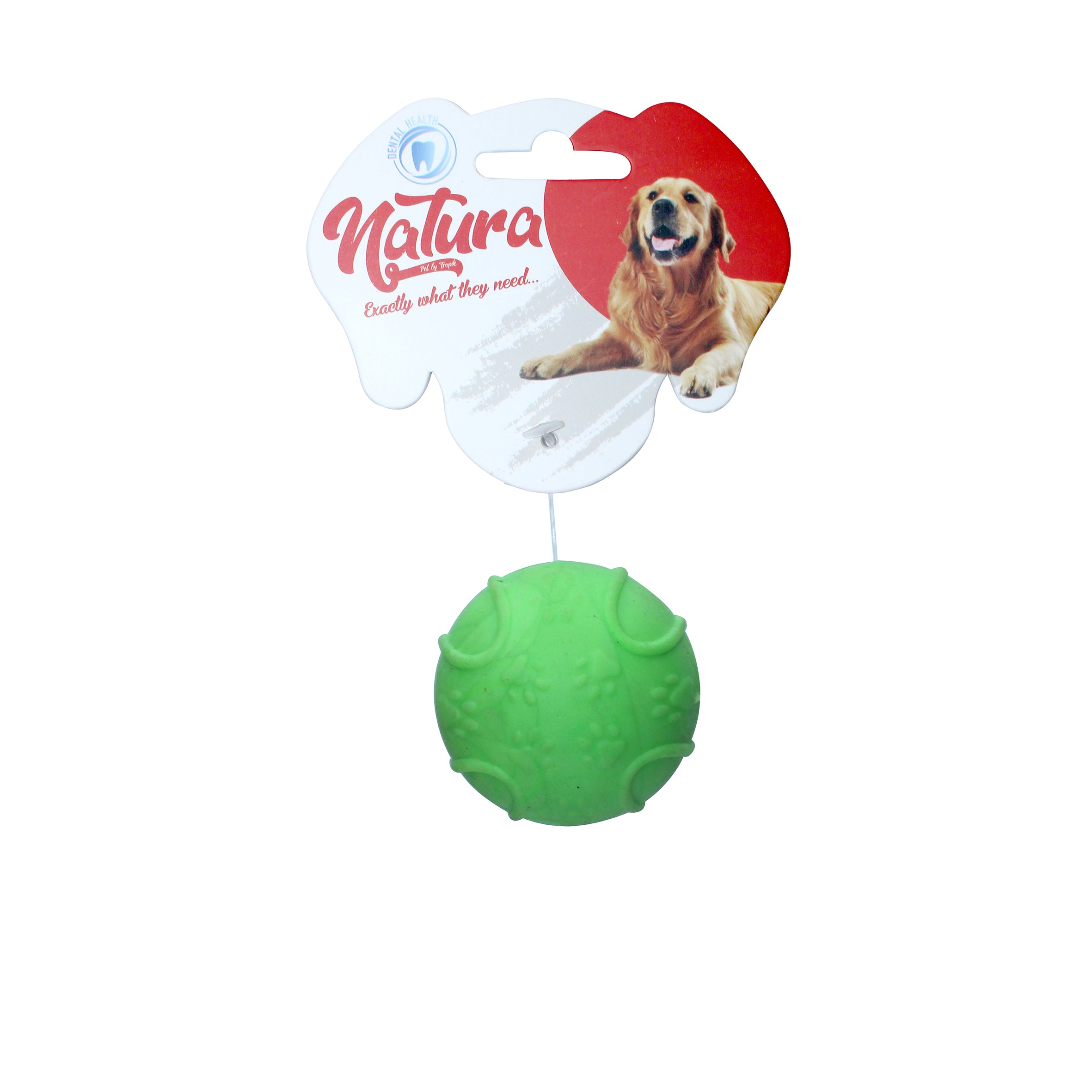 Plastic Hard Ball Dog Toy