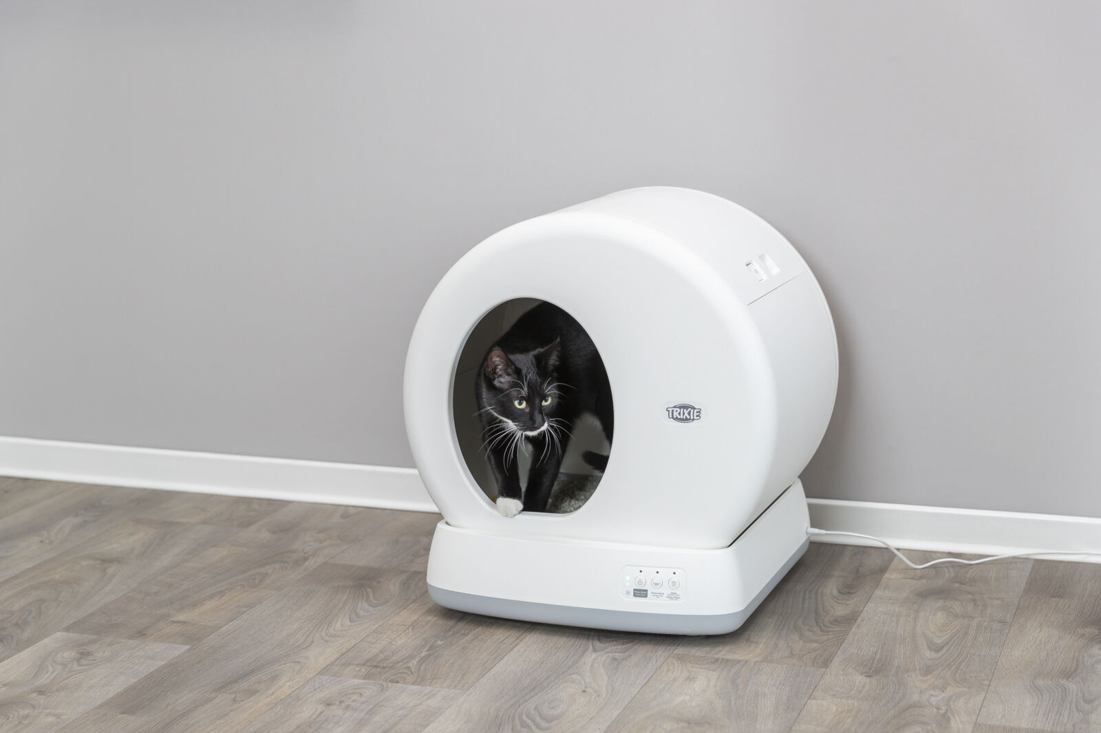 Self Cleaning Cat Litter Box