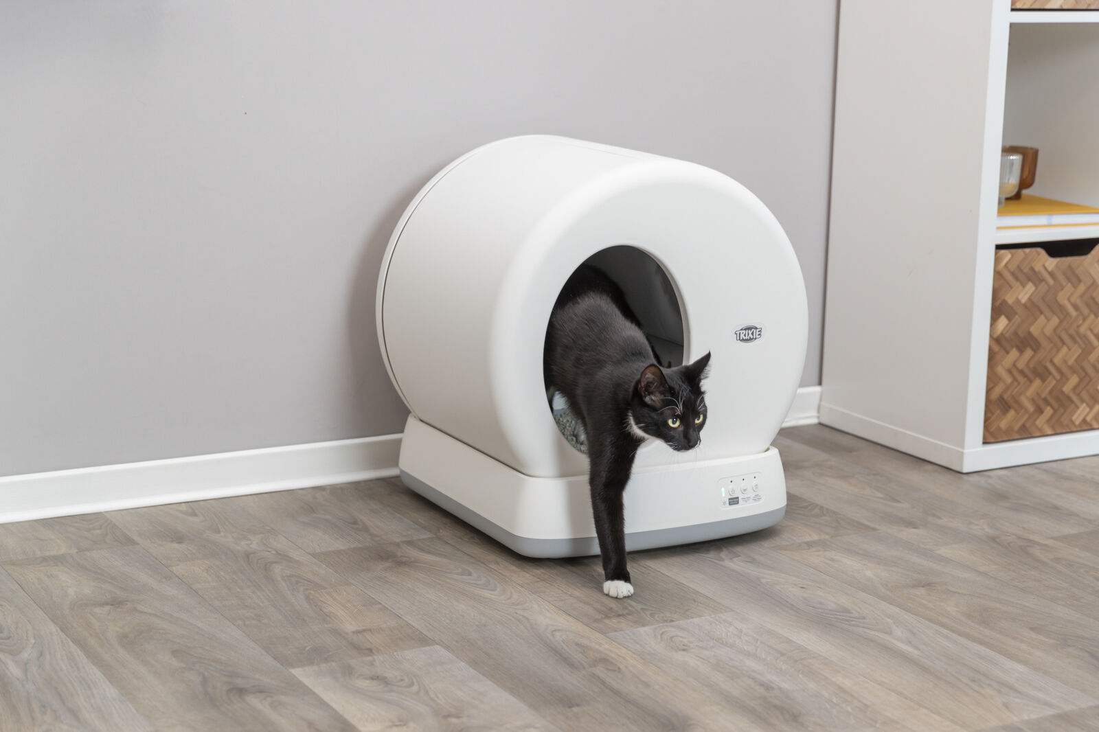 Self Cleaning Cat Litter Box